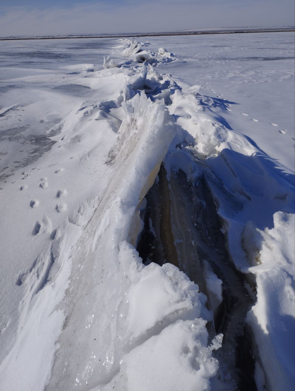 photo 2026 03 03 13 53 58