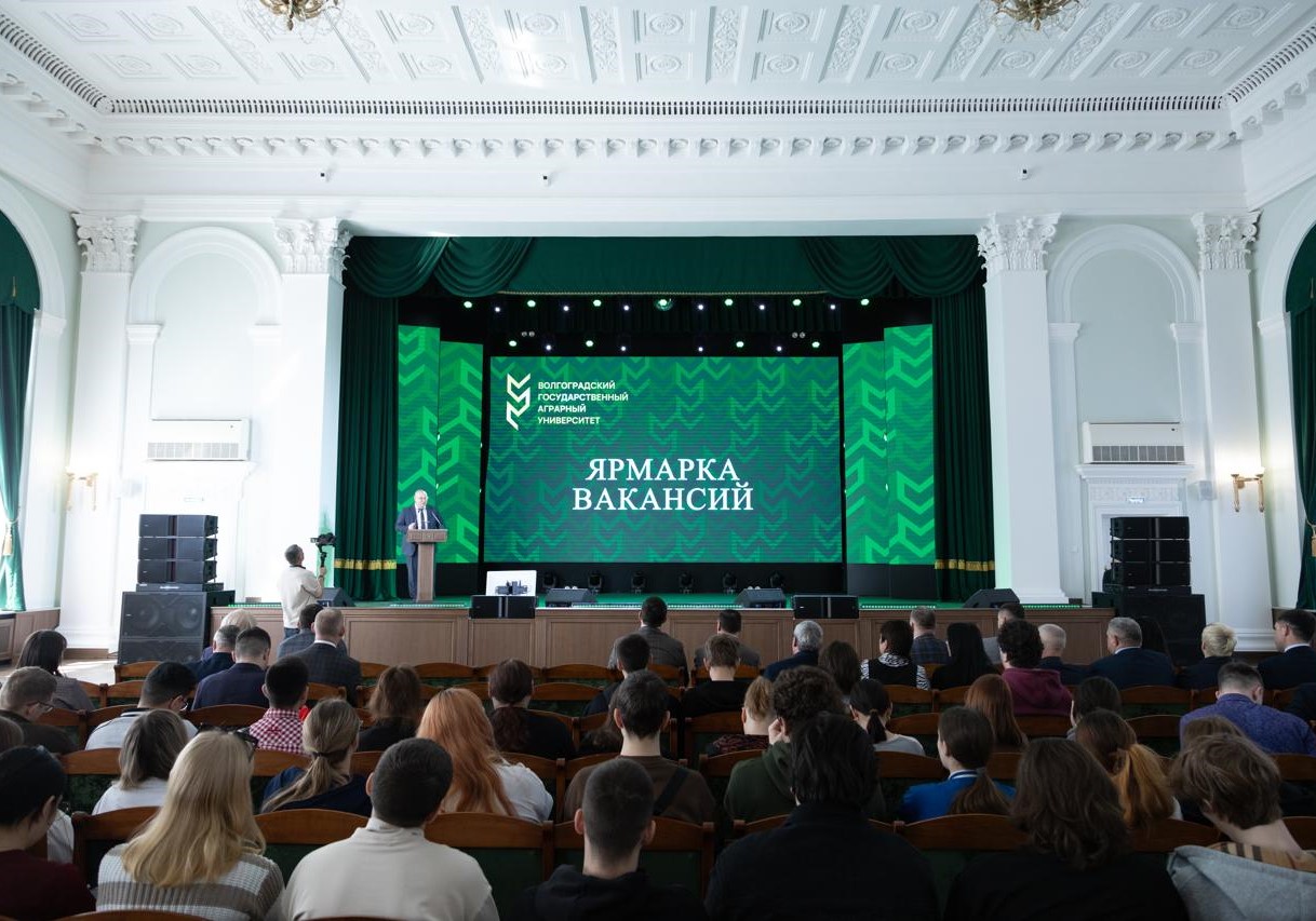 yarmorka mavansii 15 он