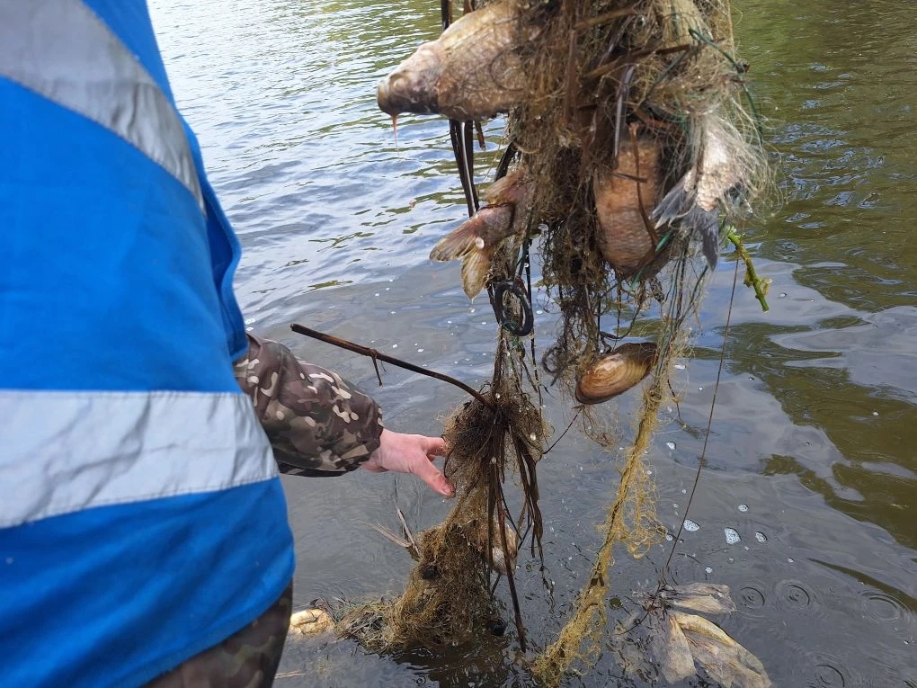 img 20260424 091743 439