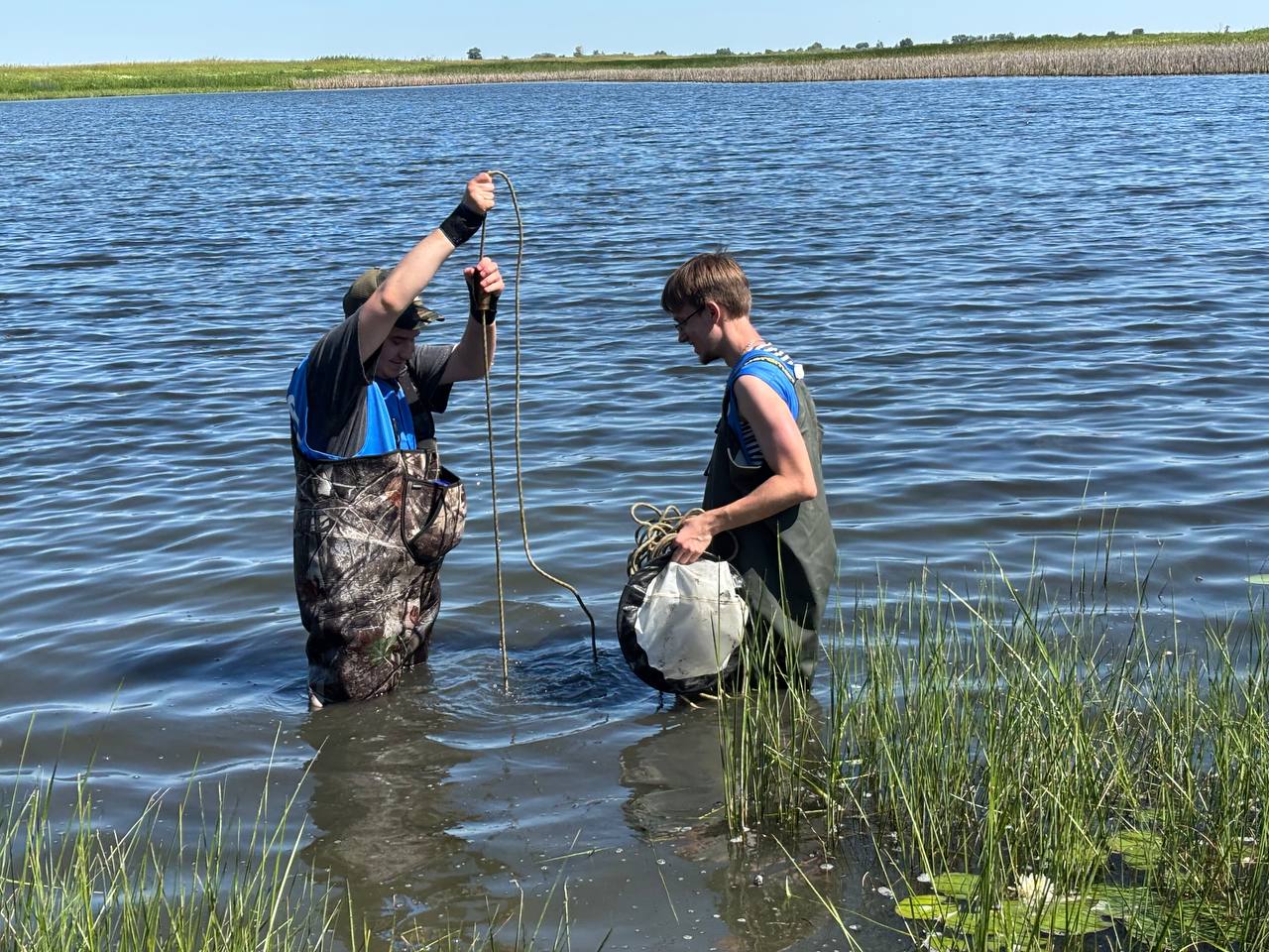 5433653445493128584 121