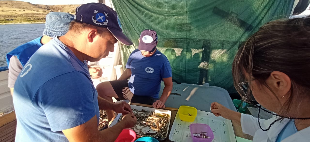 7094d340 d033 46a4 9841 3f5827792668