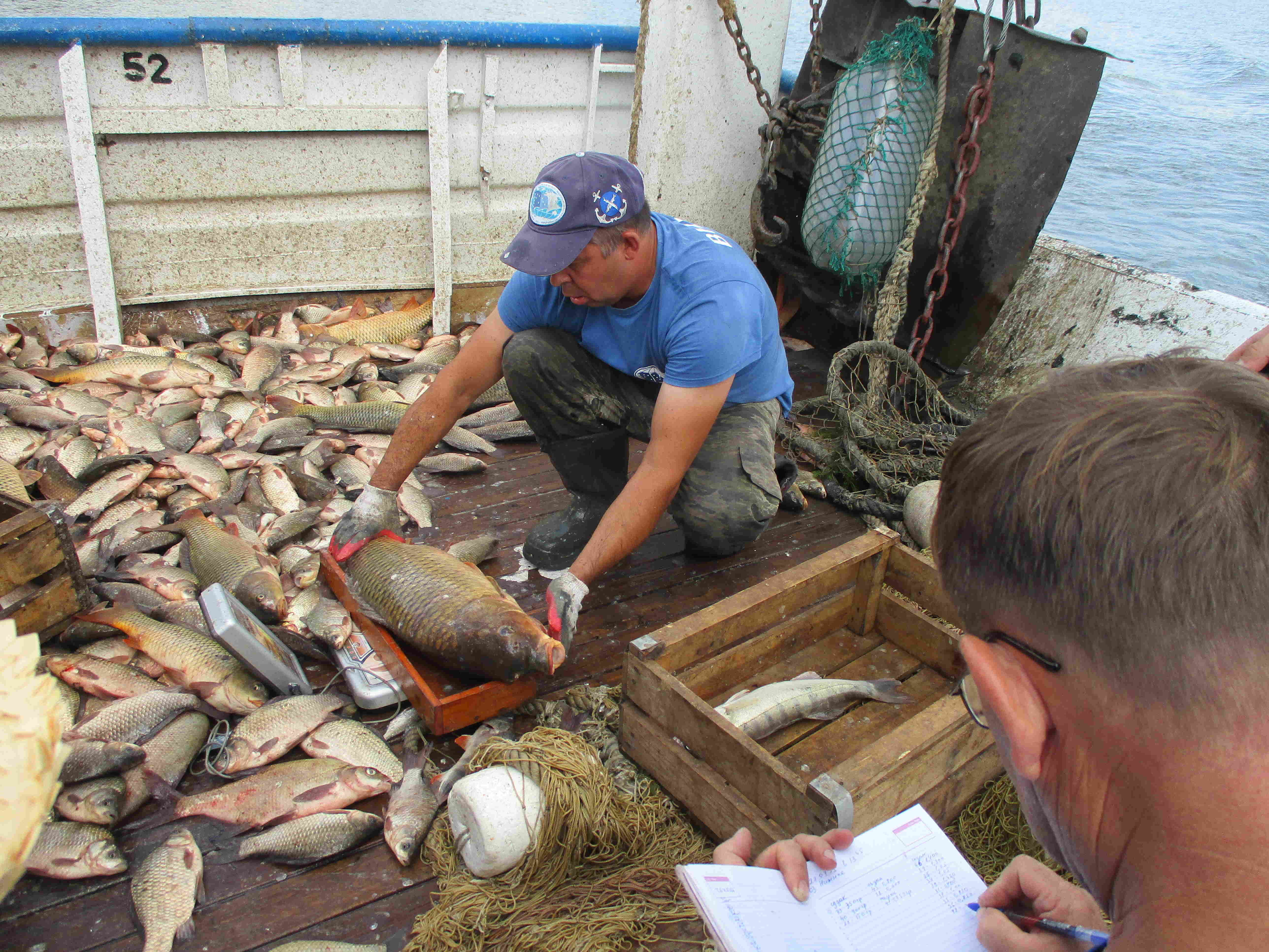 мальковый рейс 22 25.07.2025 г. 341