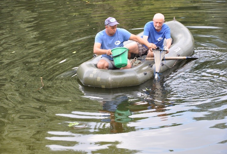 воронежские реки 1