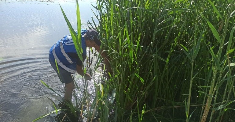 воронежские реки 5