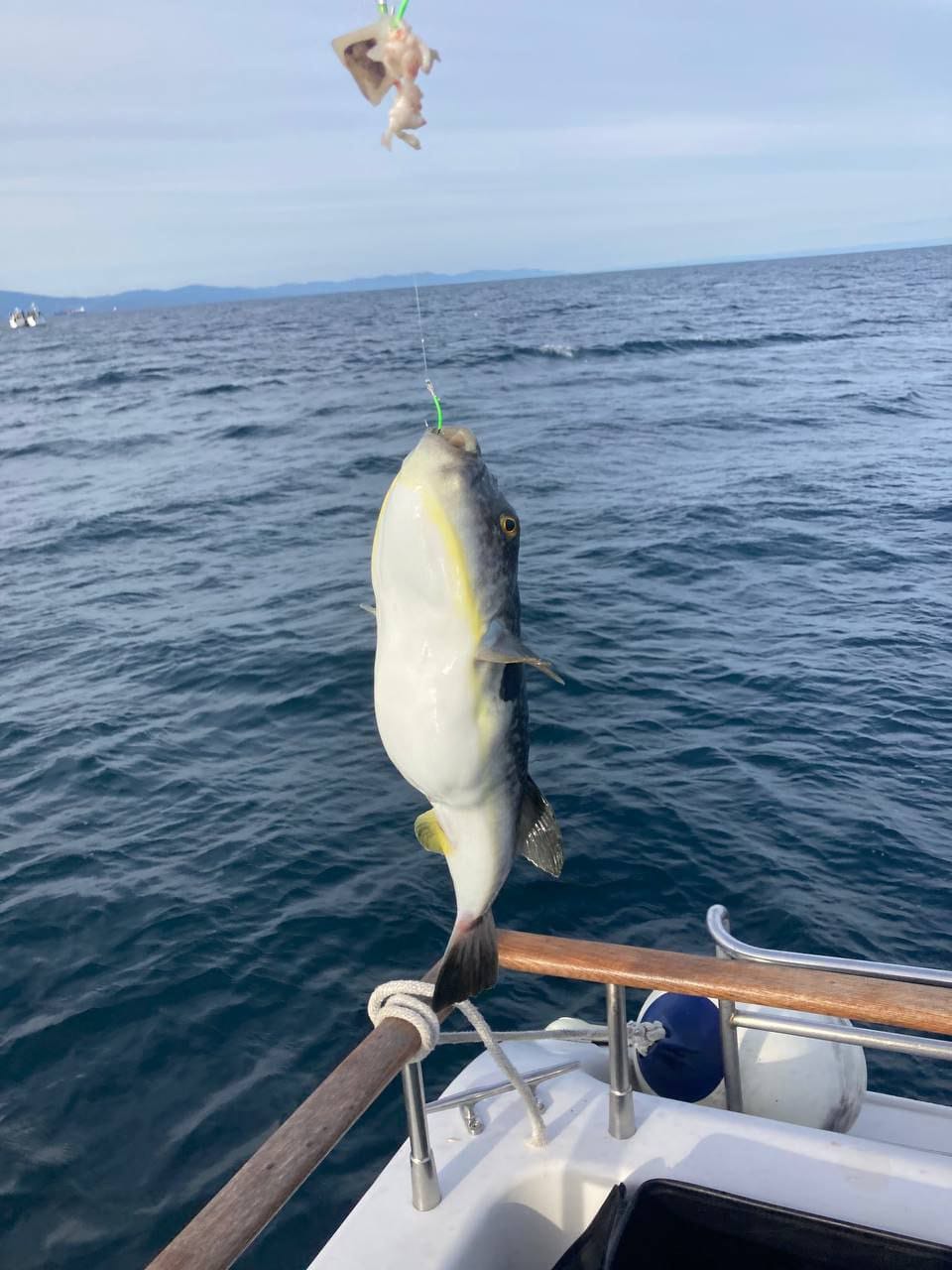 whatsapp image 2025 09 30 at 16.37.45