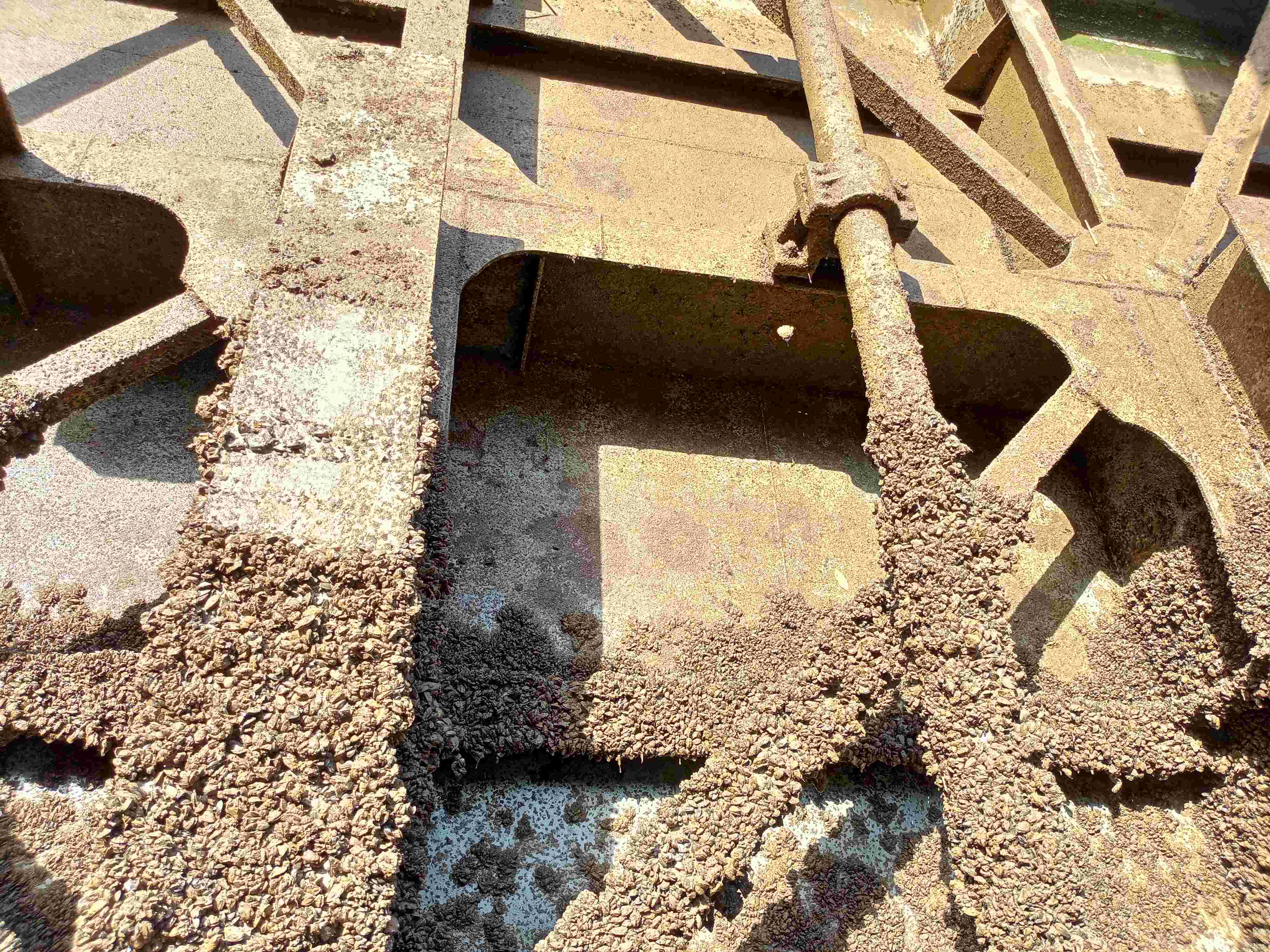 перифитон 2 1 1