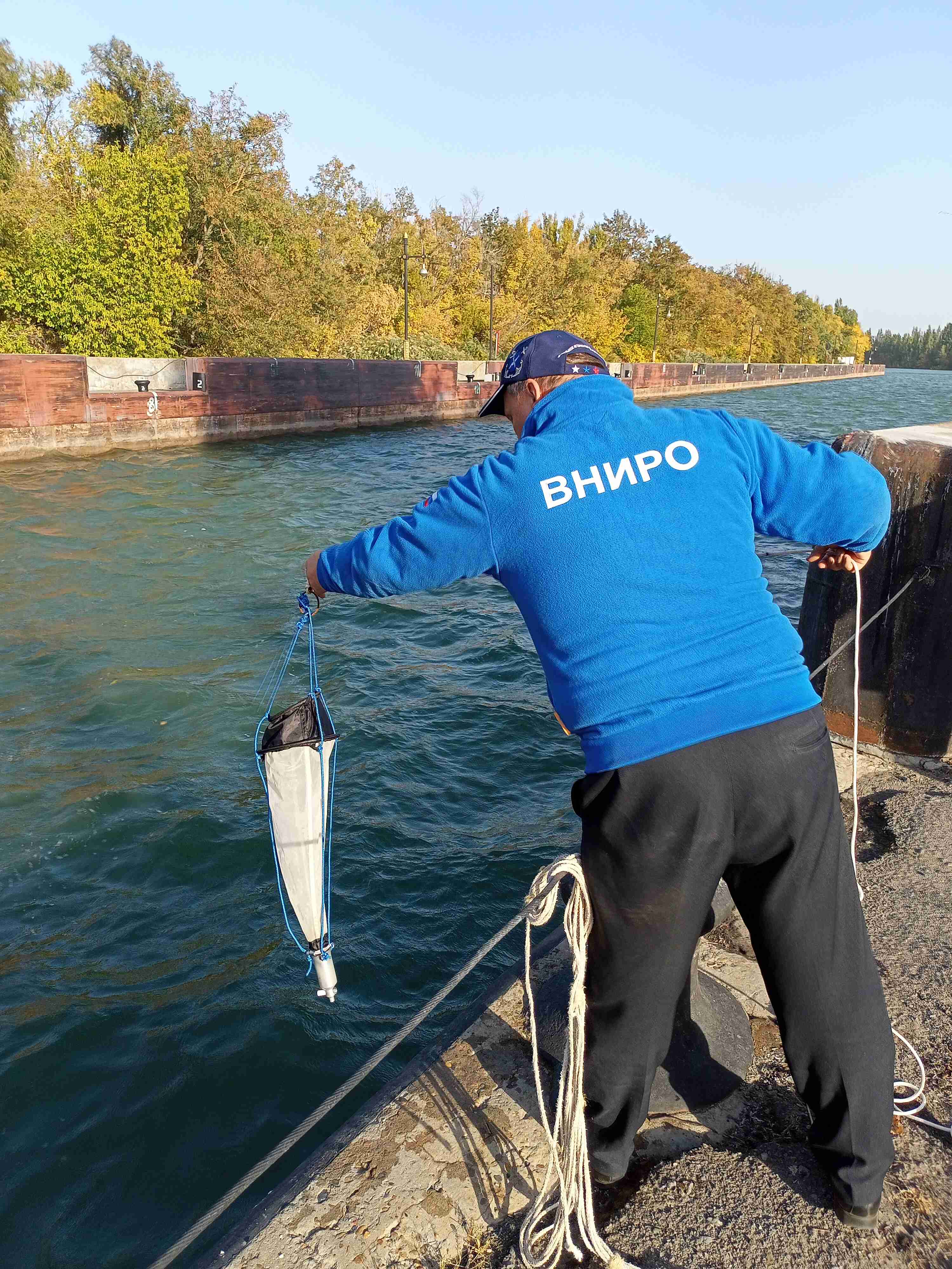 планктон 1 1