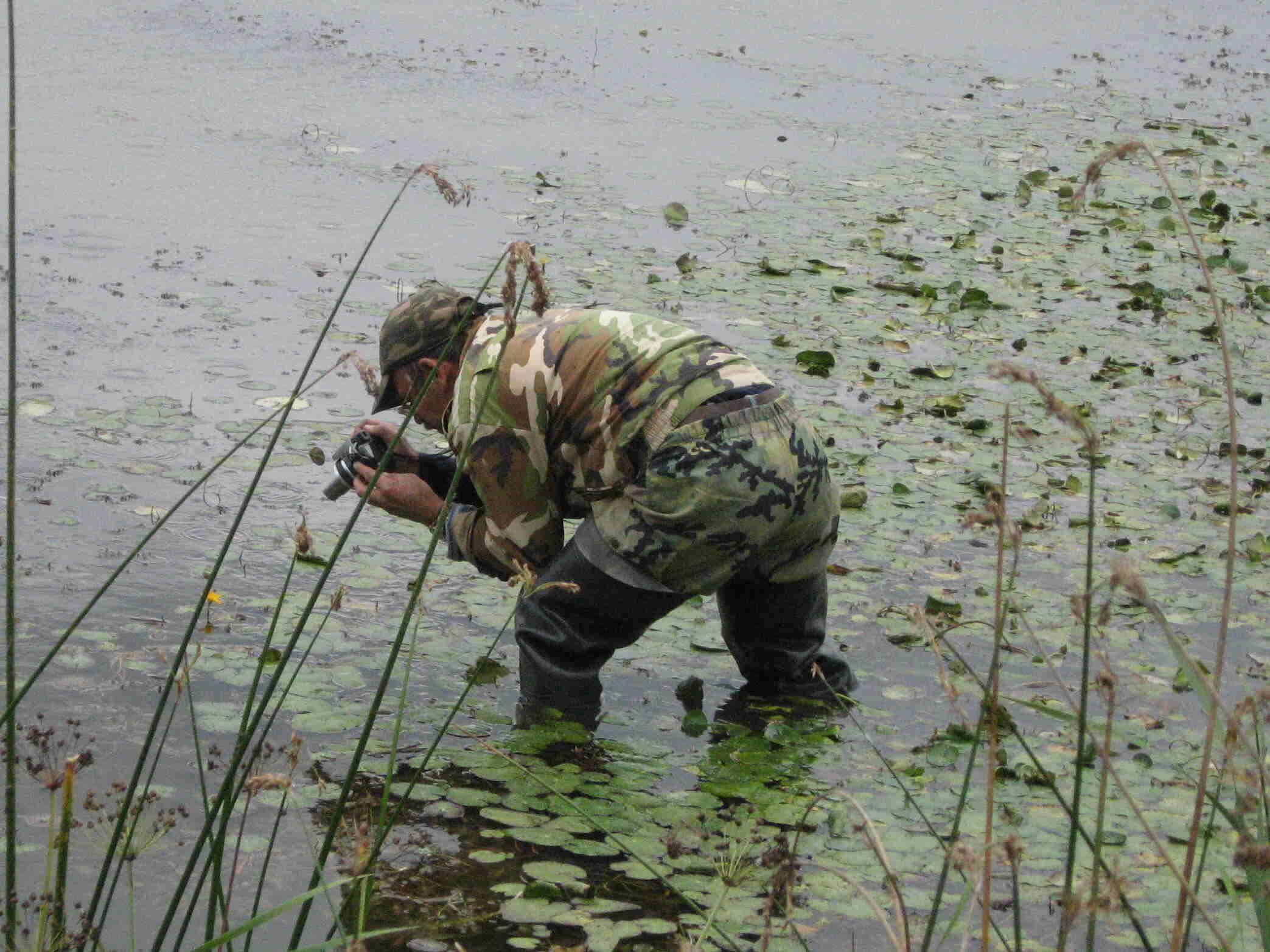 вап осень 08 622 оз. спорное
