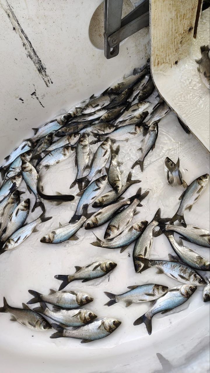 photo 2025 10 16 14 02 37