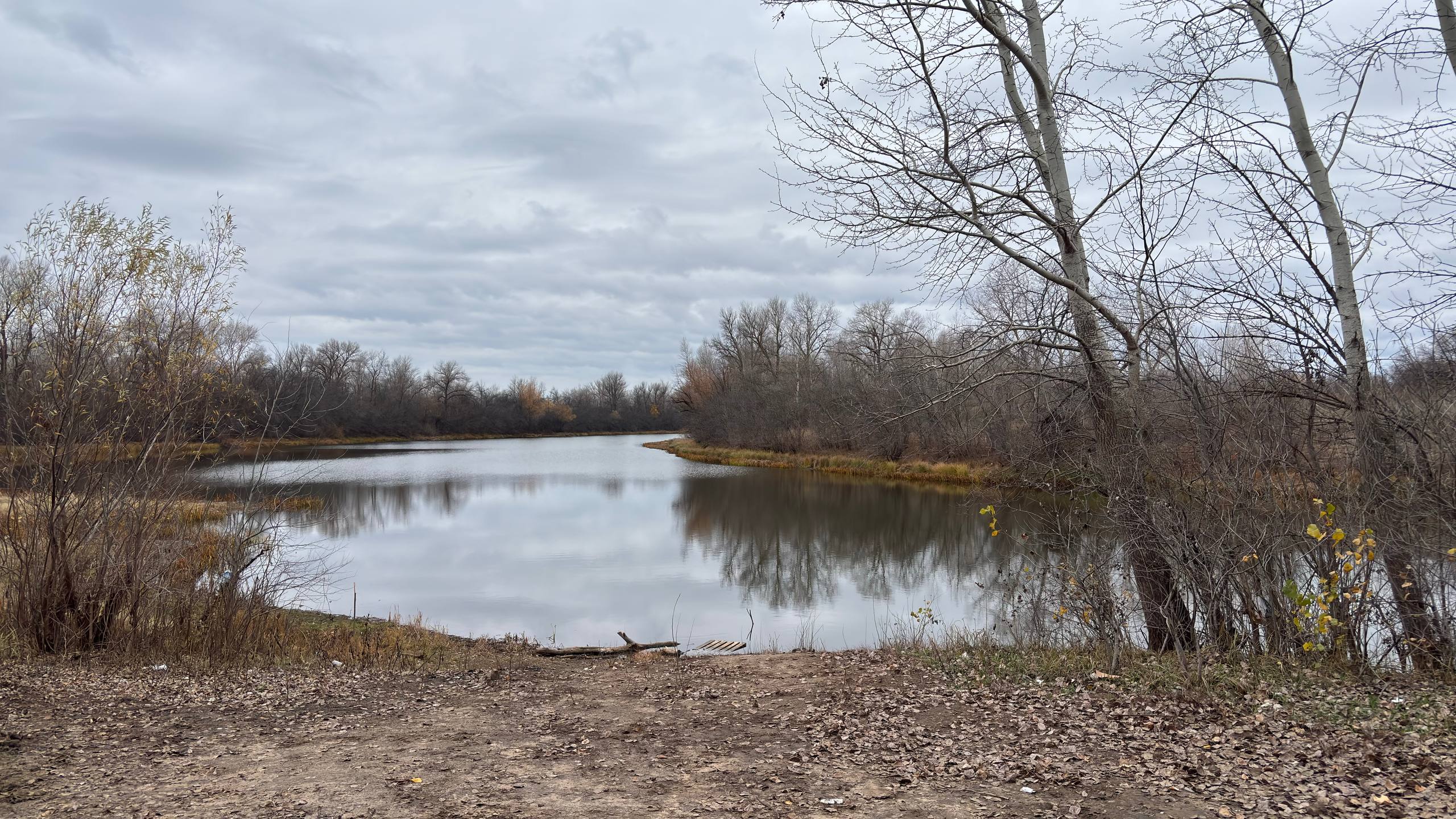  5215320986322930632 119