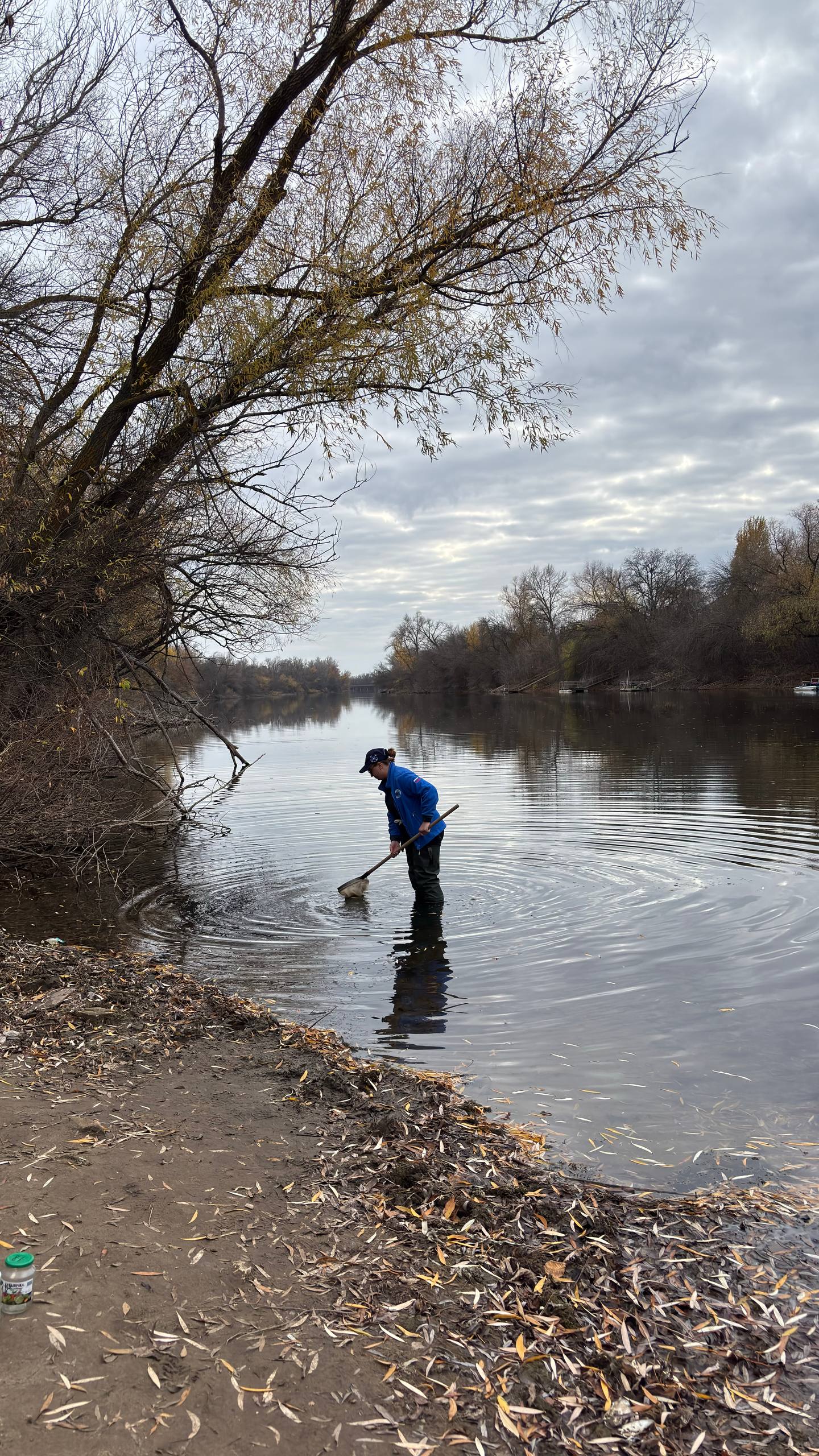 5215320986322931463 119