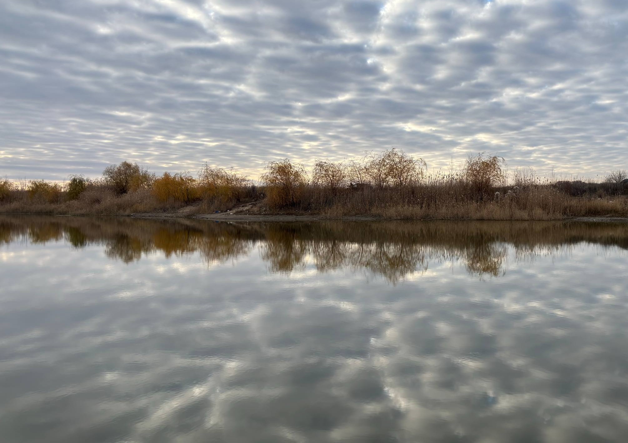 5215320986322931640 119