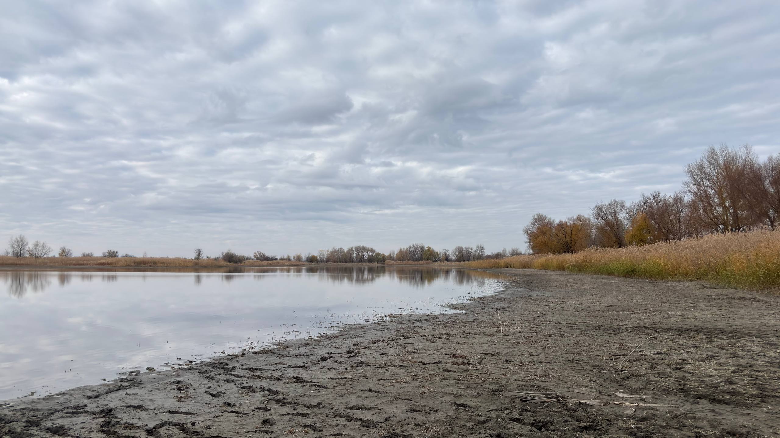 5215320986322931679 119