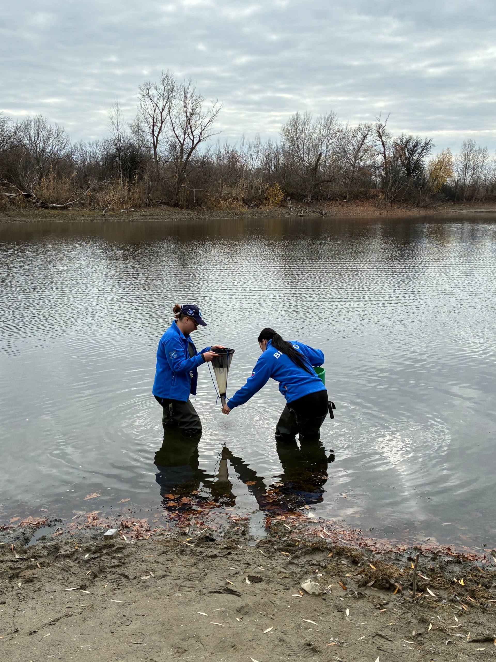  5215461577782398874 119