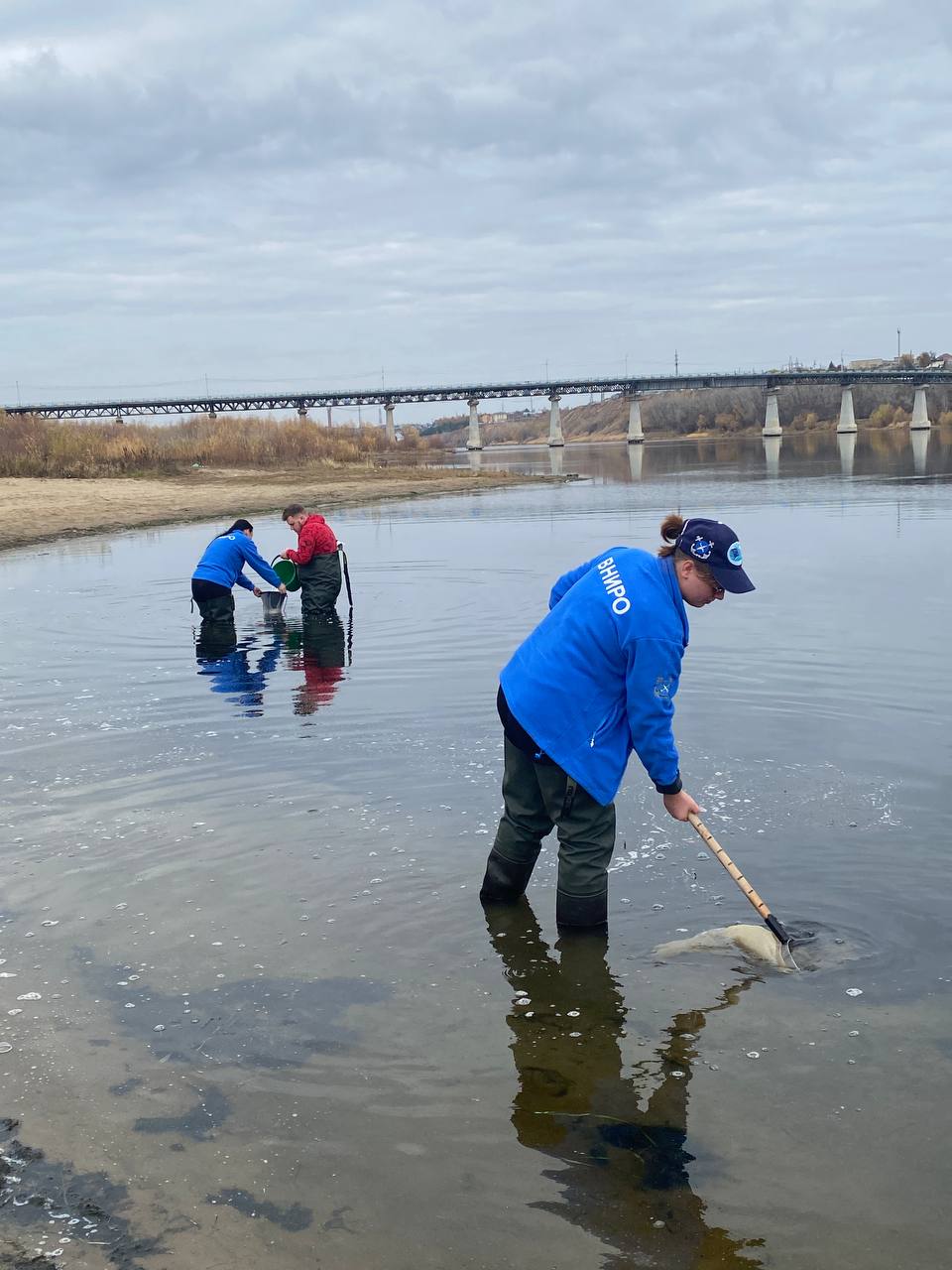 5215467088225439526 121