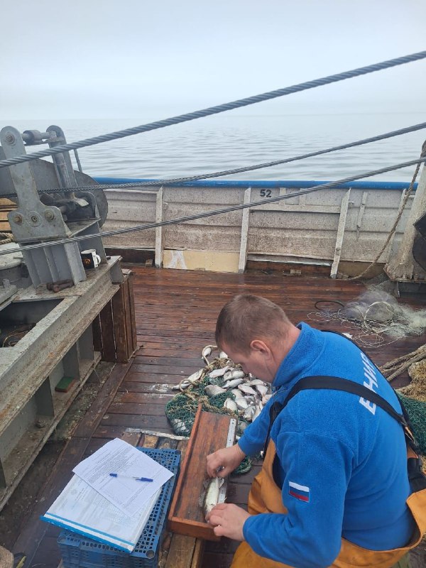 5280847502766706813 1