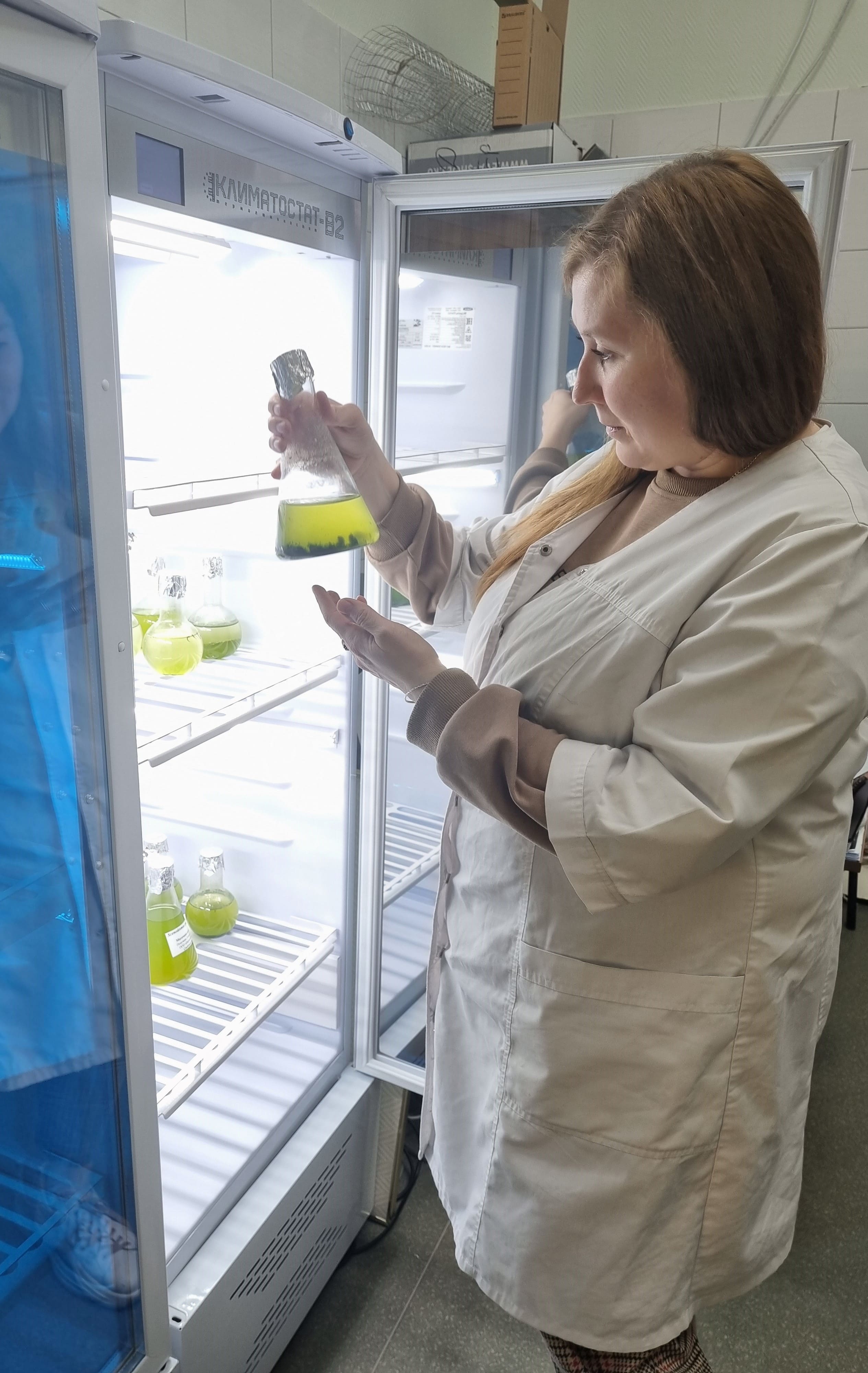 ельцова 2 2 1