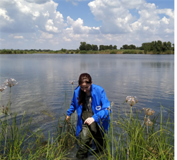 Ученые «ВолгоградНИРО» провели мониторинговые исследования состояния водной среды и кормовой базы водоемов Волго-Ахтубинской поймы в летний период.