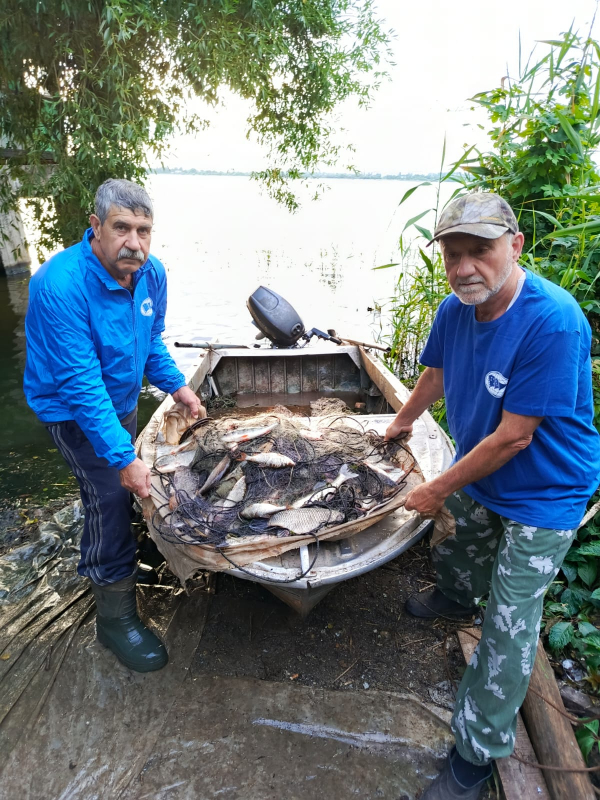 Экспедиционные выезды на Воронежское водохранилище