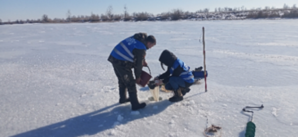 Сотрудниками «ВолгоградНИРО» выполнены наблюдения за условиями зимовки рыб, на водоемах Волго-Ахтубинской поймы, в границах Волгоградской области.