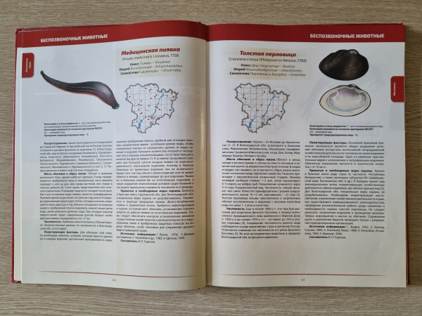 На площадке Средневолжского филиала ФГБНУ «ВНИРО» состоялось очередное заседание комиссии по редким и находящимся под угрозой исчезновения видам животных