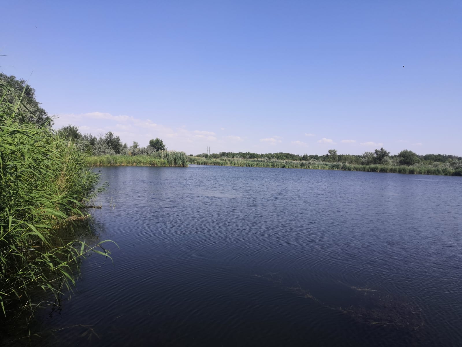 img 20240718 wa0005